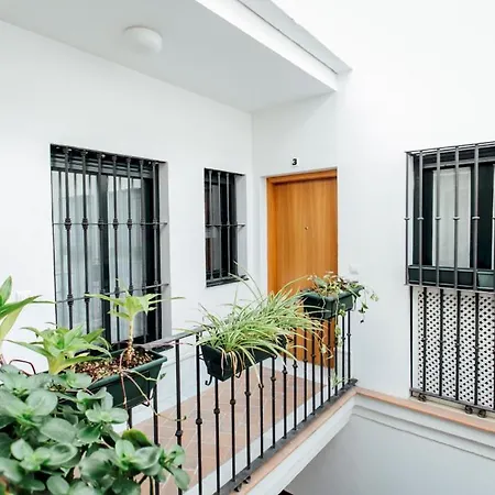 Beautiful Duplex 1Bt 1.5Bh 2 Terraces *